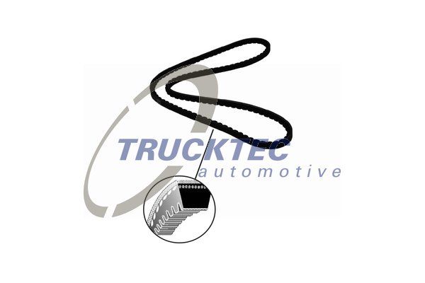 TRUCKTEC AUTOMOTIVE V formos diržas 03.19.045